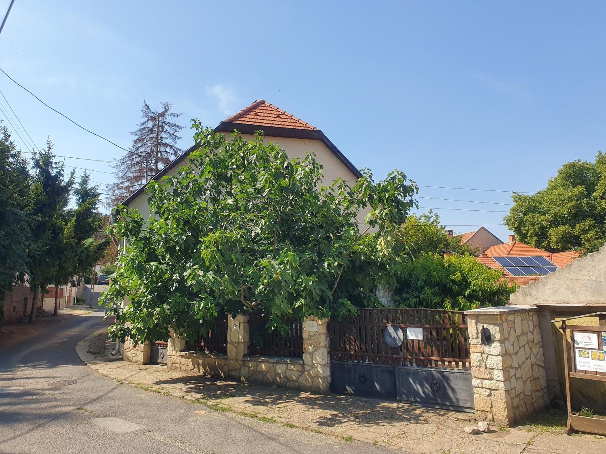 Paulay Borház és Vendégház Tokaj Kültér fotó